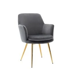 Porthos Home Gemma Velvet And Goldtone Metal Accent Chair - Pink -Baxton Acme Shop 5d70beee 2105 4fad b40f 5dbf3b7c45d6