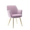 Porthos Home Gemma Velvet And Goldtone Metal Accent Chair - Pink 2 Porthos Home Gemma Velvet And Goldtone Metal Accent Chair - Pink -Baxton Acme Shop b1b9d1ad 5bda 4e4b 857e a98276333f9c